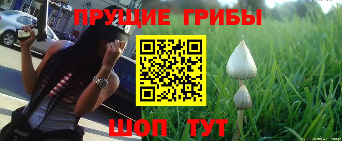 Серов  Галлюциногенные грибы мицелий  Вход с VPN 