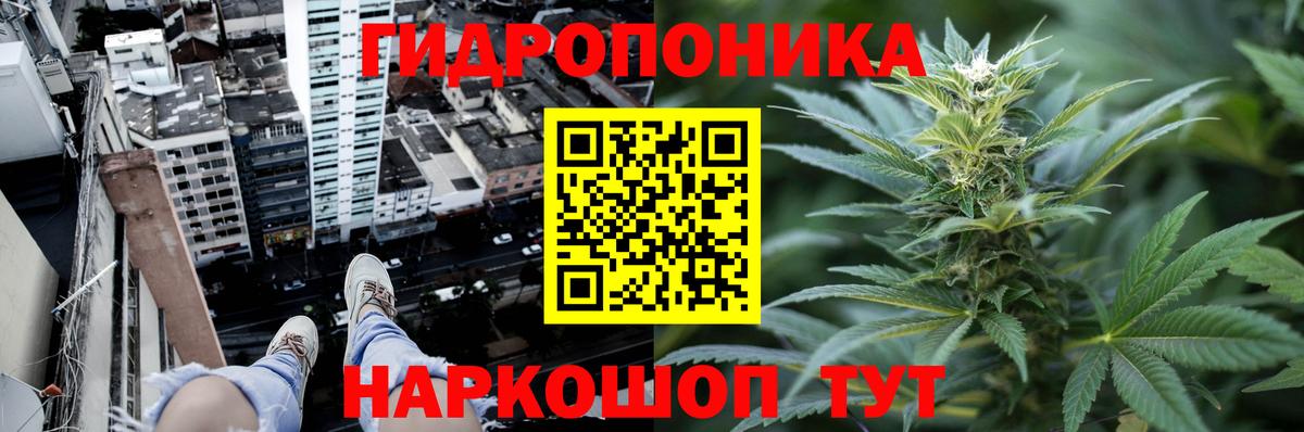 Канабис семена  Вход с VPN  Серов  Конопля SATIVA & INDICA  Бошки Шишки THC 21% 